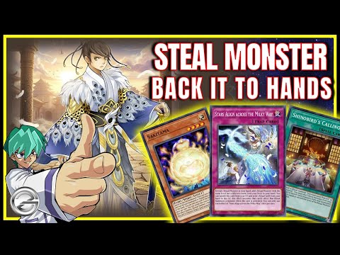 yugioh shinobird deck SHINOBIRD Deck with Return & Steal Combo – Can This Control Strategy Work  in Ranked Meta?
