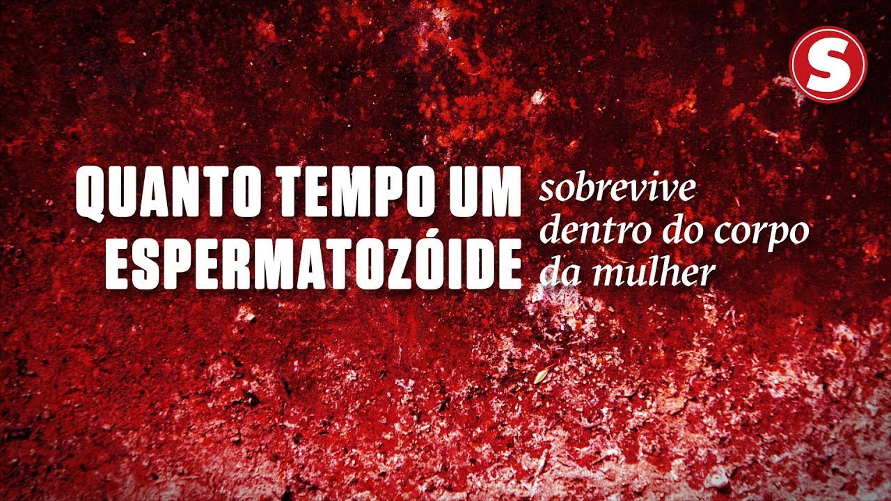 Quanto tempo um espermatozóide sobrevive dentro do corpo da mulher ...