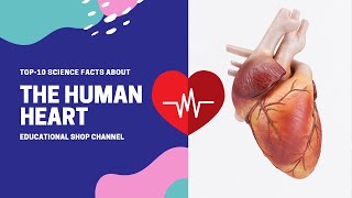 Top-10 Science Facts about The Human Heart //Educational Shop channel Top-10 Science Facts about The Human Heart //Educational Shop channel