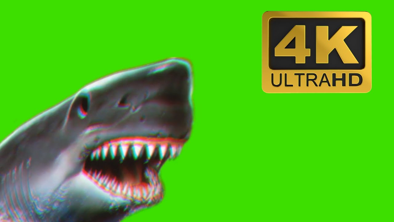 glitch shark attack free green screen effects 4k download youtube