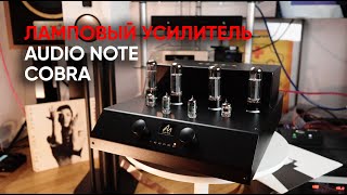 Дроп и трепет: ламповый усилитель Audio Note Cobra играет дабстеп