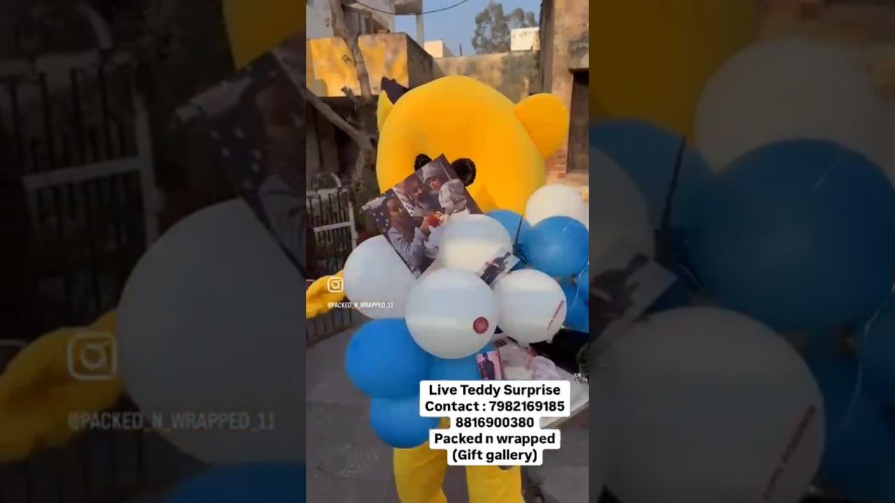 Cuteness teddy surprise 