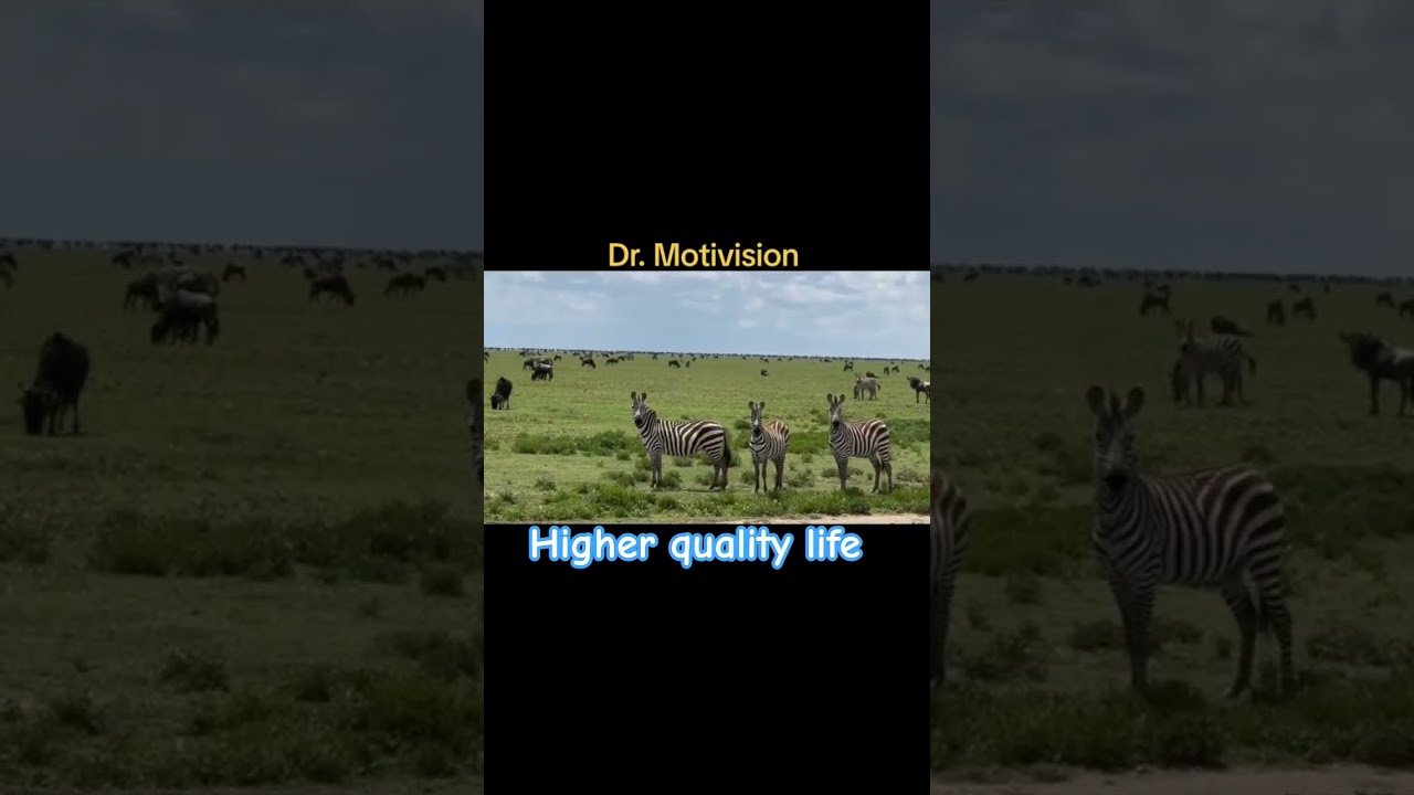 Living A More Focused Life