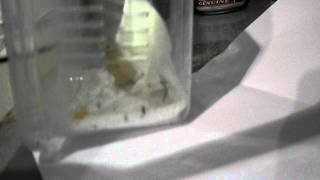 DSCF1505.AVI