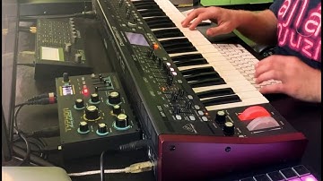 jesuzmario - typho (dreadbox typhon demo music beat - no talking)