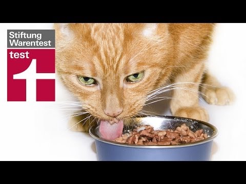 Katzenfutter Test Stiftung Warentest Cats To Love