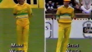 Merv Hughes ODI debut - 1988/89 Australia v Pakistan @ Adelaide Oval