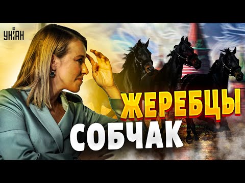 Собчак и ее жеребцы. Грязные тайны тети-лошади | Дорогие товарищи