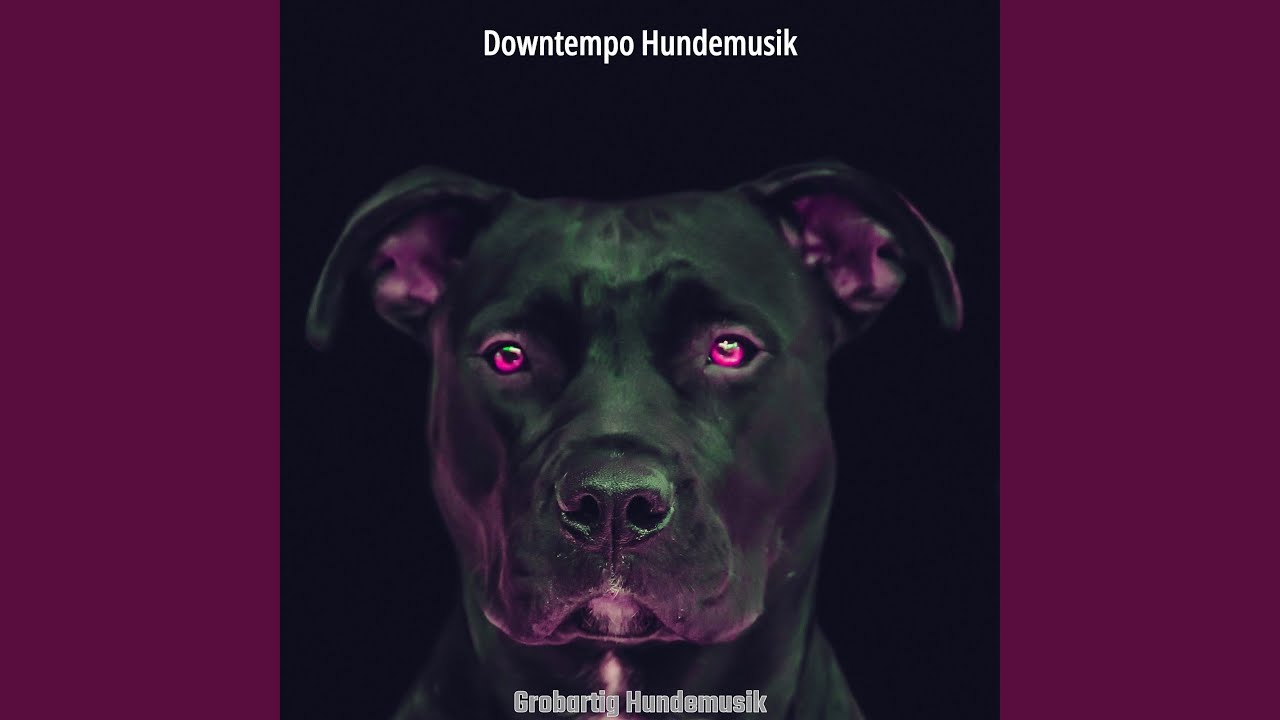 Authentische (Ruhige Hunde) YouTube