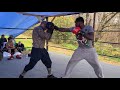 (MIGHTY MOUSE) VS. ( BLACK MAMBA)