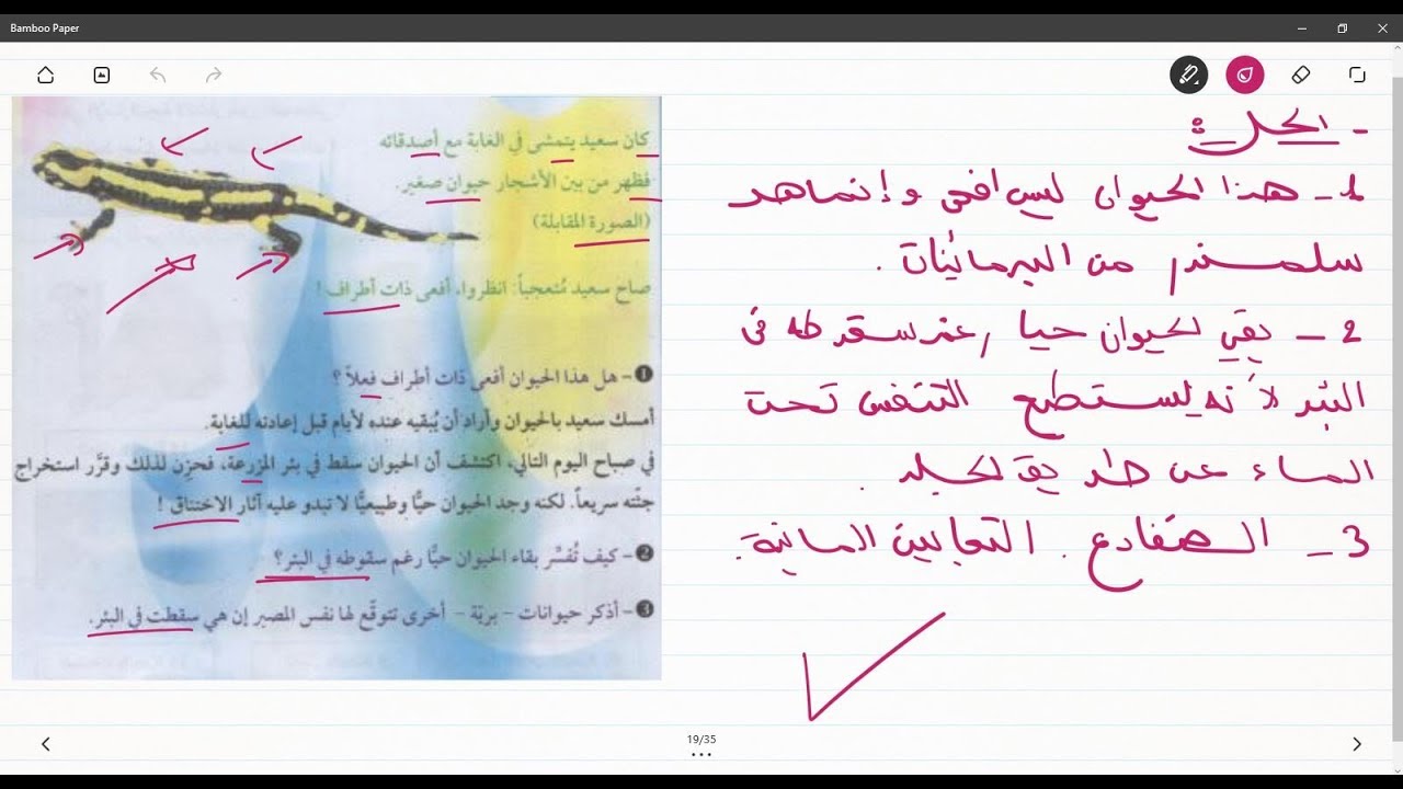 علوم طبيعية الثانية متوسط تمرين على انماط التنفس