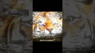 Celebrity Same species btw😘 Wealth