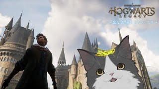 【ホグワーツレガシー】二ヶ月ぶりのイギリス【#7】