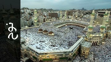 سورة نوح الشيخ محمد أيوب رحمه الله #الحرم_المكي #مكة_المكرمة #المسجد_الحرام #المسجد_النبوي
