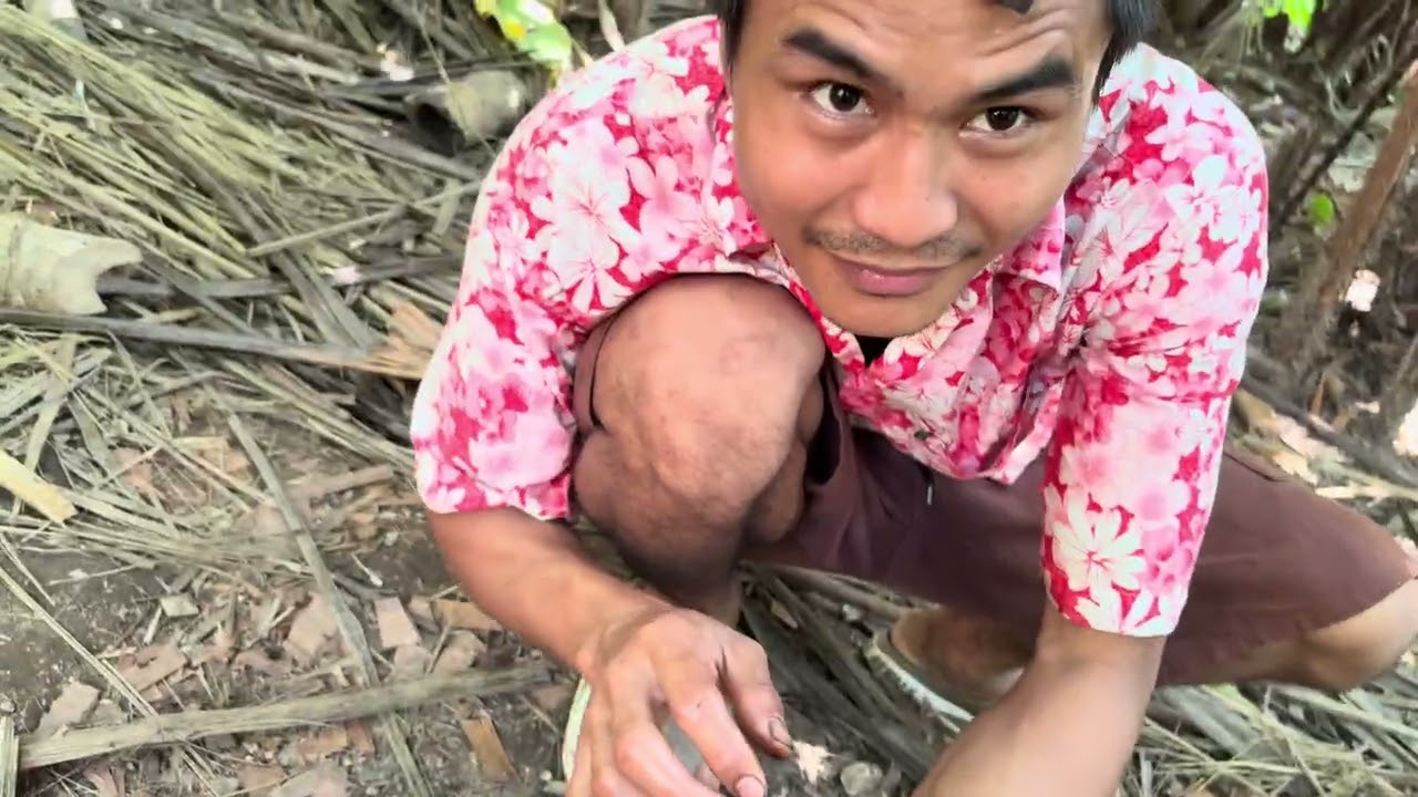 Crab 🦀 and shrimp 🦐 hunting in the jungle 