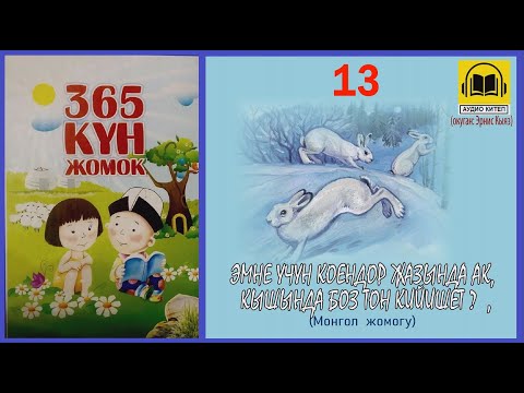 Video: 13 жаңы китеп