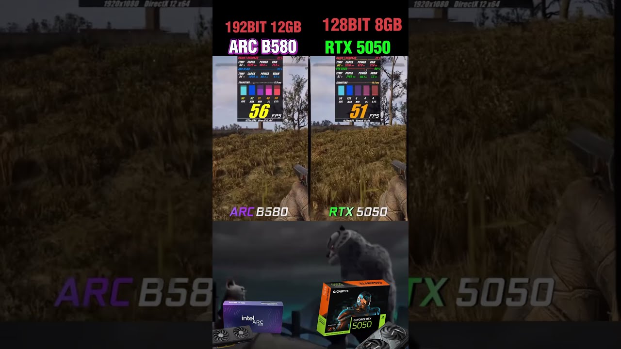Arc B580 Or RTX 5050 Pc Pcgaming Gpu Gamingpc