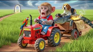 Hero Monkey Learns to Farm and Saves a Puppy from Flood | Tractor Rescue Story