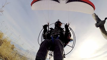 GoPro: Paramotor Over Snowy Marshes