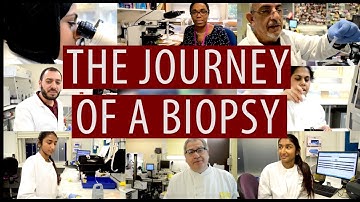 The journey of a biopsy #DiscoverPathology
