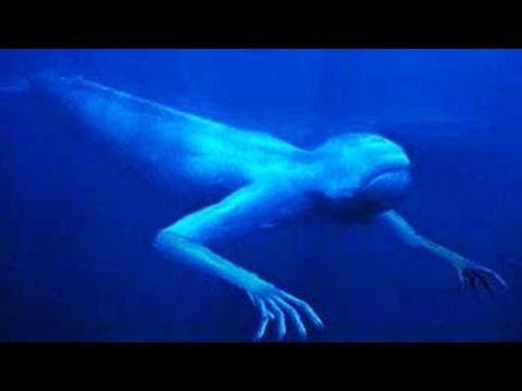 Video: Ningen: Fantasia O Realtà? - Visualizzazione Alternativa