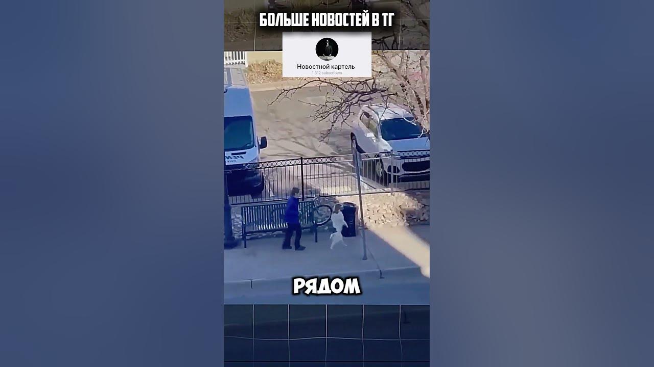 Квадробер наоборот. Собака притворяется человеком - YouTube
