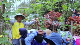 OUTING CLASS | KEBUN PAK AGUS KELAS 2
