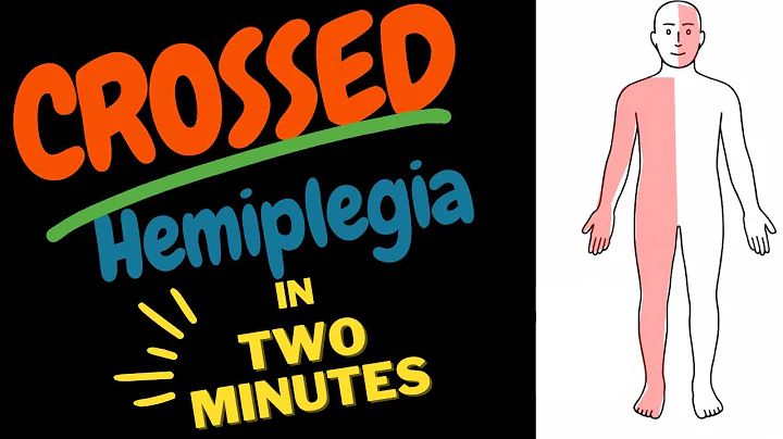 Hemiplegia and Crossed Hemiplegia | In TWO Minutes