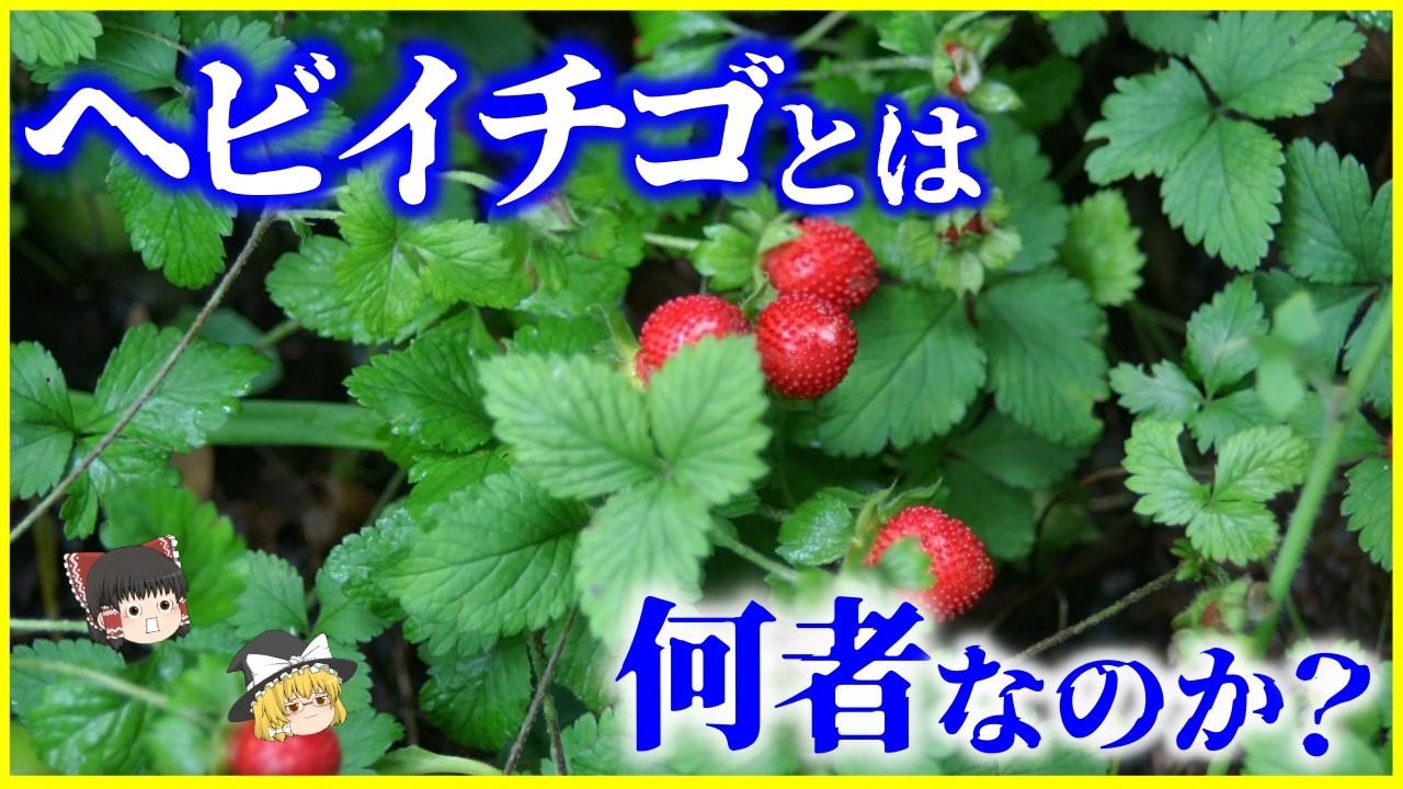 Slow-Paced Explanation] Is it poisonous? Or not? What exactly is 