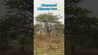 Megam karukatha penne penee ☔️⛈️✌🏻/ #agbloodysweet #rain #climatechange #chennai #rainydays