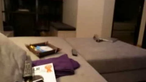 Video 171941: siberian cat playing fetch, black siberian cat