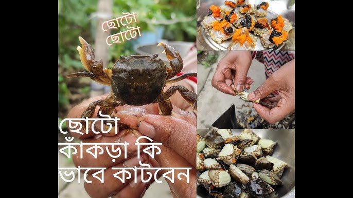 Guruh transseksual porno tomosha qiling