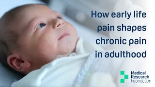 How early life pain shapes chronic pain in adulthood - Dr Stephanie Koch