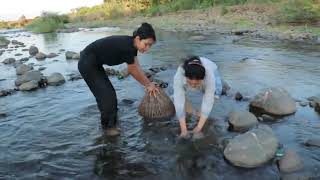 Set up a stone trap to catch fish