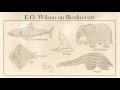 E.O. Wilson on Biodiversity
