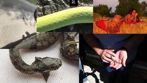 Step-by-step guide for beginners to get started on Kaggle competition