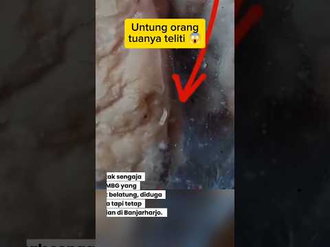 Roti MBG Penuh Belatung 😱#mbg #makanbergizigratis