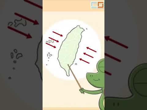 💡酷課知識充電站⚡️臺灣地區的板塊運動 ep1 預告片縮圖