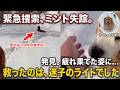 【緊急捜索】雪深い森で消えた老犬ミント。絶望の淵で救ったのは、迷子のライトでした。