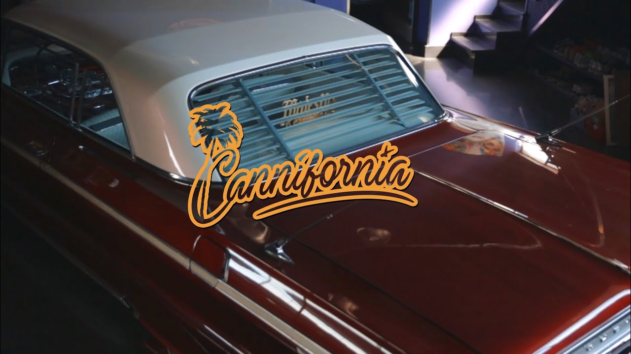 Cannifornia - Season1 Episode3