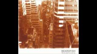 Beardfsh - Spegeldans (Mirror Dance) - 2003