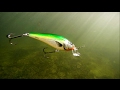 How to use  film underwater salmo fishing lures for pike muskie bass     