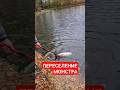 #youtubeshorts #youtuber #fishing #рекомендации #рек #врек #рыбалка #врекомендации