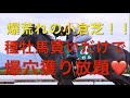 【競馬】爆荒れ小倉芝‼️血統買いで爆儲け【競馬検証】