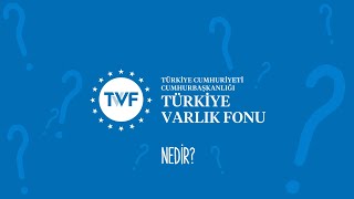 Türkiye Varlık Fonu Nedir? Ne Değildir?
