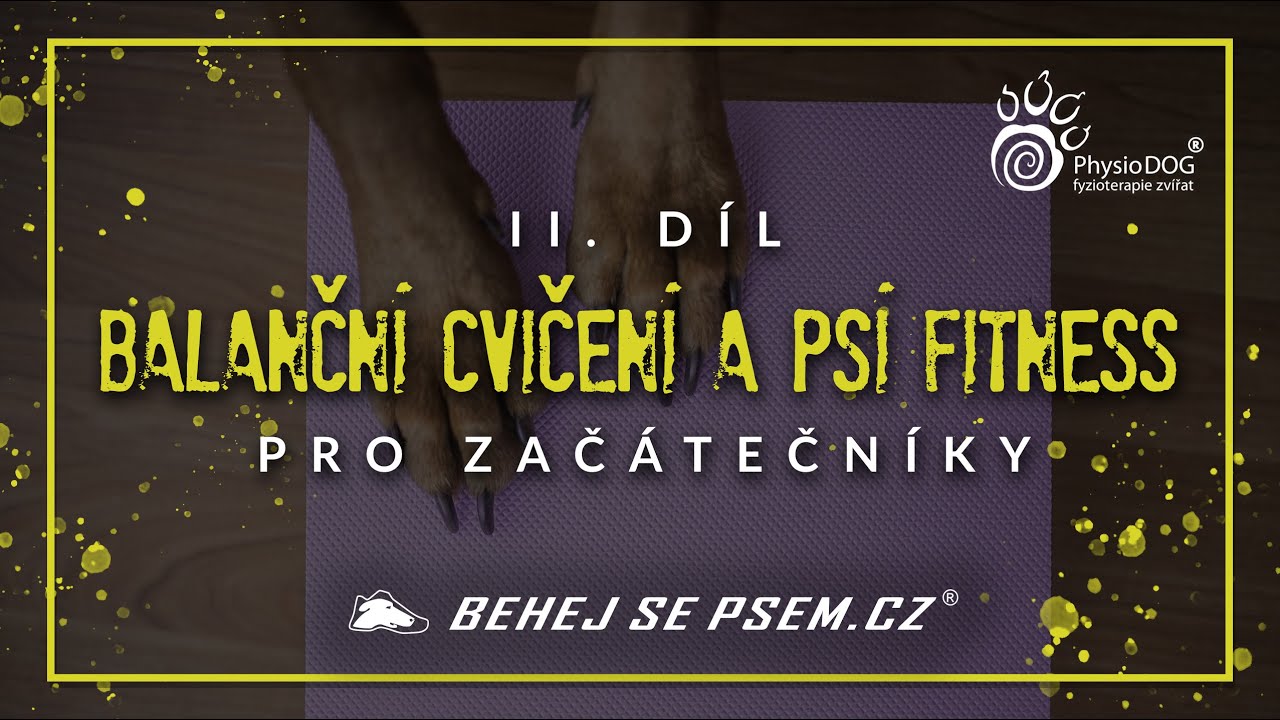 Balanční cvičení a psí fitness pro začátečníky | 2. díl