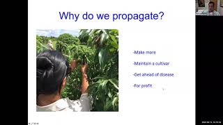 Tropical Fruit Tuesdays: Propagation by Cuttings and Division
The UF/IFAS Tropical Fruit Extension agent for Miami-Dade County, Jeff Wasielewski, teaches you how to propagate tropical fruit from cuttings and by using division. This is part of the Tropical Fruit Tuesdays webinar series. Tropical Fruit Tuesdays: Propagation by Cuttings and Division