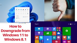 How to Downgrade from Windows 11 to Windows 8.1 | How to rollback to Windows 8 from Windows 11