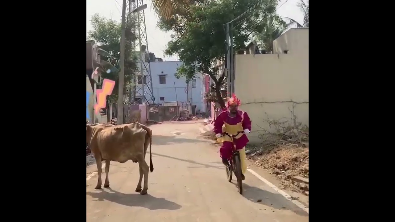 JACK 🤡 CYCLE ACCIDENT 🚲🤯🥺 Cow 🐄 Fear 😨🥴😧