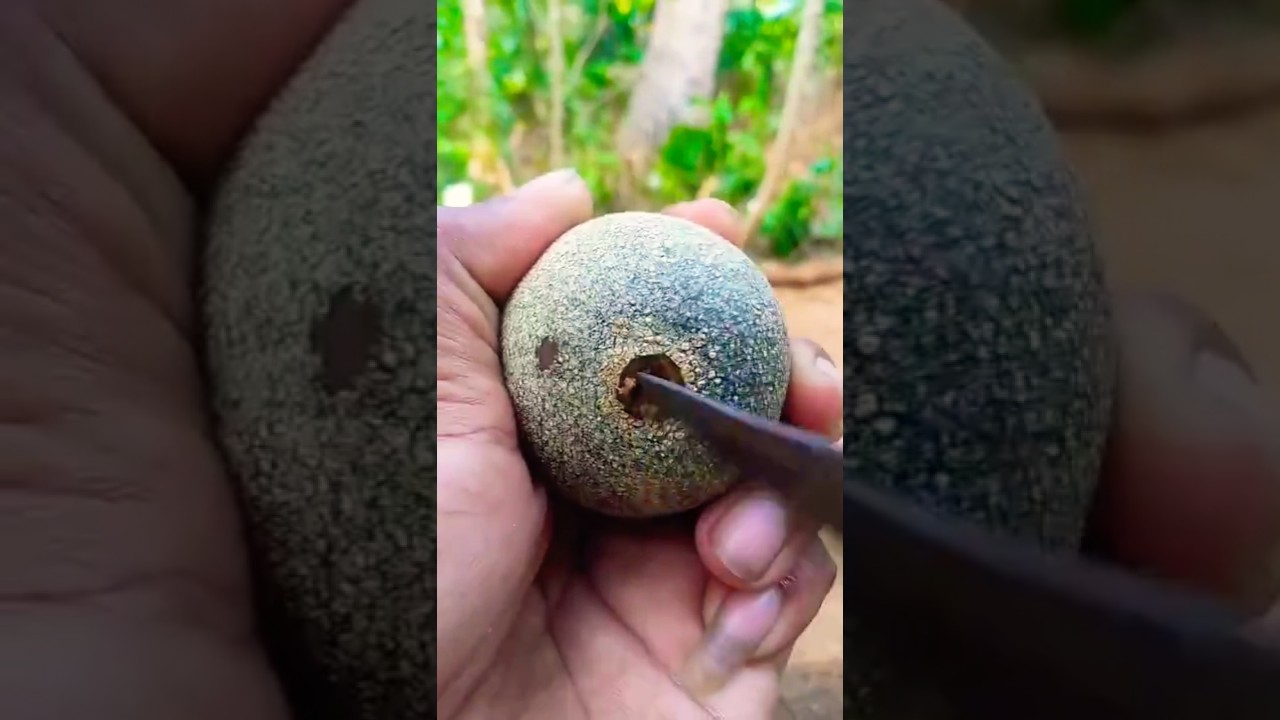 Trying😌 "Wood Apple" for the First Time 😎🇨🇦.